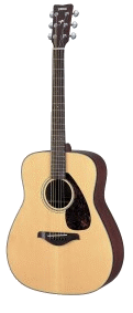 Acoustic Guitar