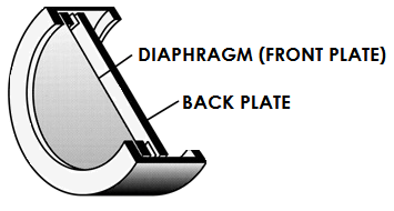Back Plate