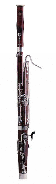 Bassoon