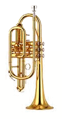 Cornet