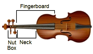 Violin Fingerboard