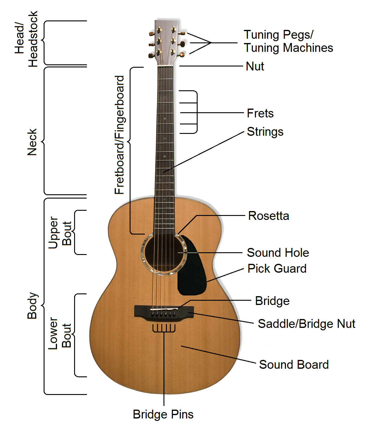 Guitar