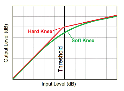 Knee