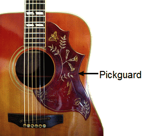 Pickguard