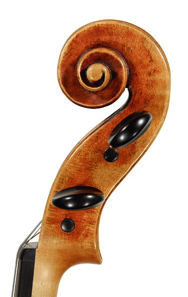 Violin Scroll