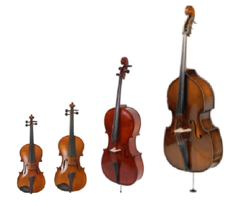 String Instruments