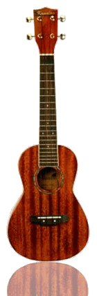 Ukulele