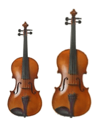 Violin & Viola